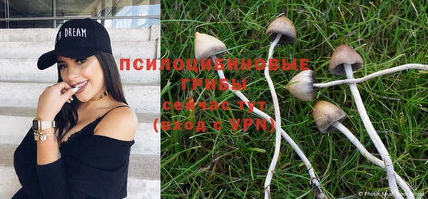 каннабис Аркадак