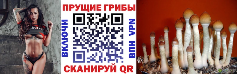 Псилоцибиновые грибы ЛСД  MEGA как войти  Нижние Серги 